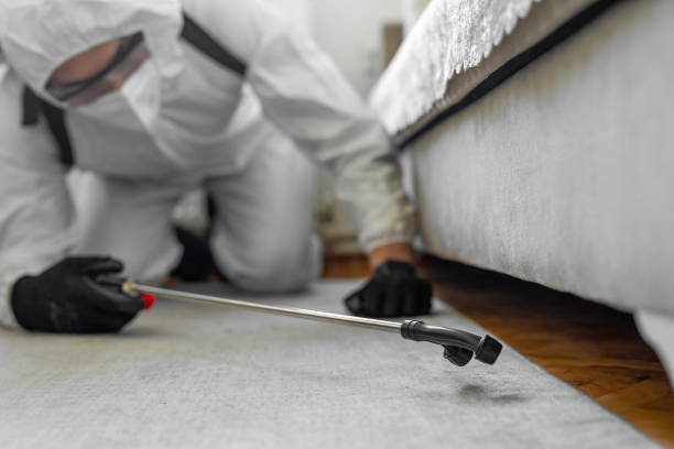 Professional Termite Control technician working in South Pittsburg, TN