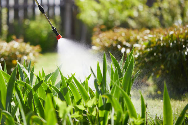 24/7 Emergency Termite Control experts in South Pittsburg, TN