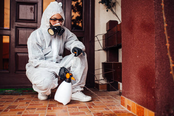 Reliable Termite Control contractor in South Pittsburg, TN by Nex Pest Control