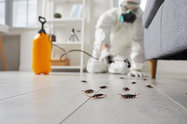 Trusted Fumigation Services service in South Pittsburg, TN - Nex Pest Control