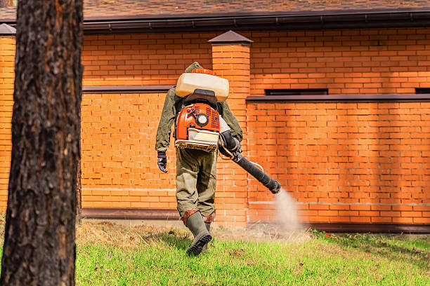 Trusted Termite Control service in South Pittsburg, TN - Nex Pest Control